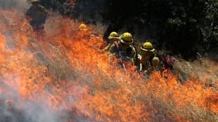 Kebakaran Dahsyat Landa California