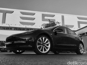 Terungkap Alasan Utama Tesla Ogah Bangun Pabrik Mobil Listrik di RI