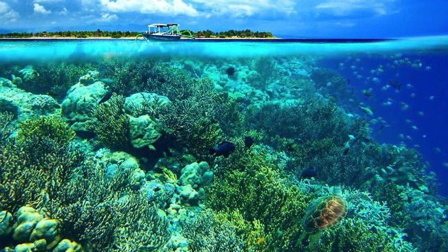 Sektor Pariwisata Di Manado Meningkat Drastis Sektor Pariwisata Di Manado Meningkat Drastis