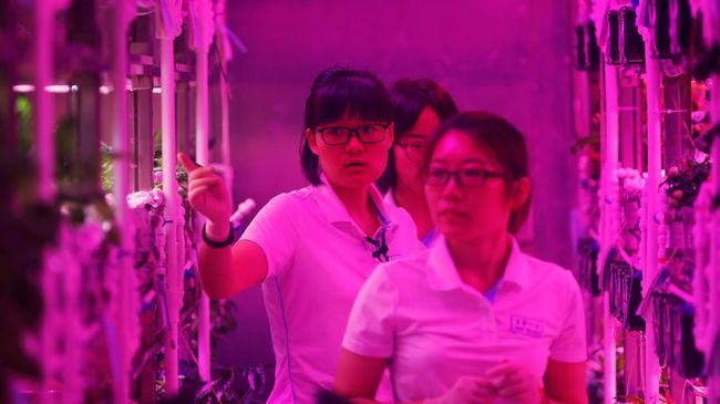 Empat Mahasiswa China Jajal Hidup di  Planet  Lain  