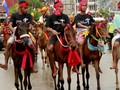 Derap Kuda Sandelwood di Sepanjang Hayat Masyarakat Sumba