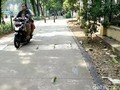 Djarot akan Tindak Tegas Pengendara Motor di Trotoar