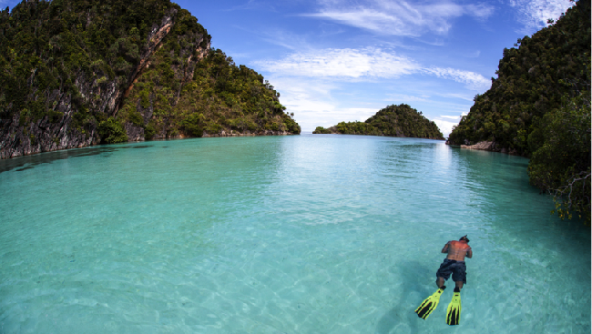 4 Spot Diving Indonesia Masuk Jajaran Terbaik di Asia