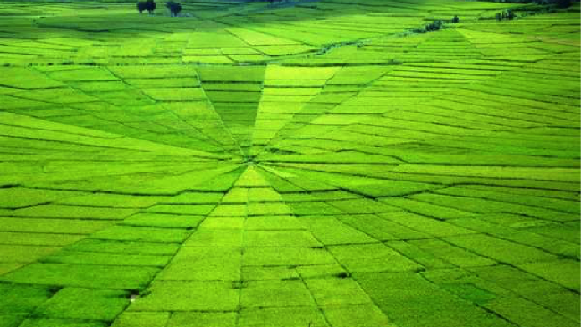 Destinasi Wisata NTT Jadi Lintasan Tour de Flores