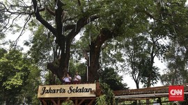 Memilih Akhir Pekan di Lapangan Banteng