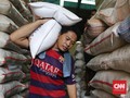 Petani Bali Ekspor 11 Ton Beras Merah ke Amerika