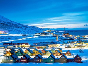Lindungi Beruang Kutub dkk, Norwegia Batasi Kapal Pesiar