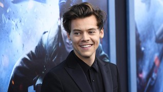 Harry Styles Dikabarkan Kencani Model Victoria's Secret