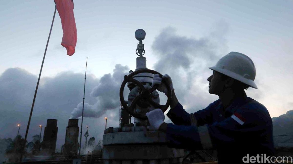 Alasan Geo Dipa Batal Ditarik ke Danantara — NadiKabar.com