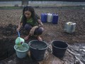 Pemerintah Klaim Kekeringan Tahun Ini Tak Mengkhawatirkan