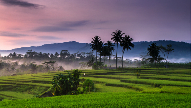 Bertani Jadi Atraksi Wisata Menarik di Desa Candran