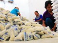 Pemerintah Siapkan Peta Jalan Garam Demi Petani Lokal