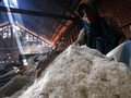 KKP Tentukan Harga Pokok Penjualan Garam Sebelum Panen Raya