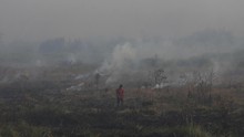 BMKG Deteksi 10 'Hotspot' Indikasi Kebakaran Hutan Riau