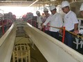 Kominfo Janjikan Palapa Ring Timur Rampung Pertengahan 2019