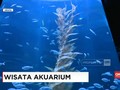 Menikmati 'Alam Bawah Laut' di dalam Mal Jakarta