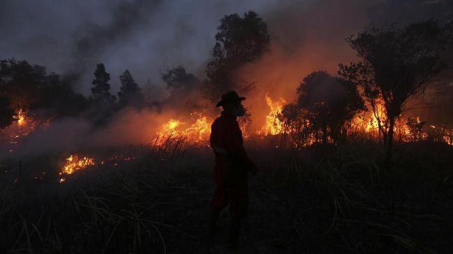 Alex Noerdin dan Kisah Pukulan Telak Kebakaran  Hutan 