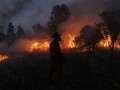 Alex Noerdin dan Kisah 'Pukulan Telak' Kebakaran Hutan