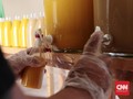 Transformasi Jamu Gendong, Dulu dan Kini