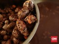5 Manfaat Jamu Beras Kencur: Atasi Batuk hingga Stres