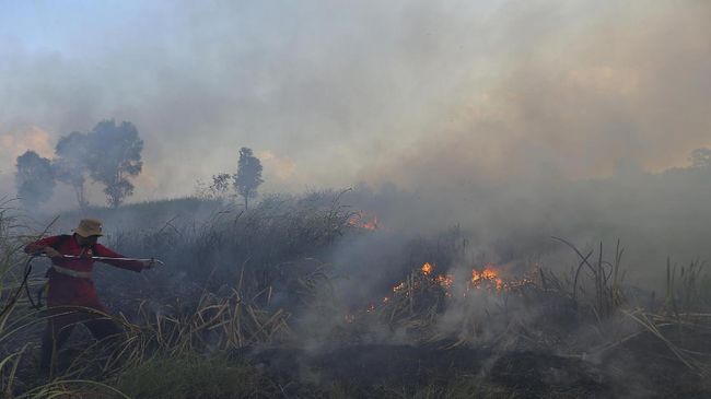 Dana 'Panas' Sawit Maybank Rp34 T Rusak Hutan Indonesia