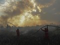 Kemarau dan Momok Meluasnya Kebakaran Hutan dan Lahan