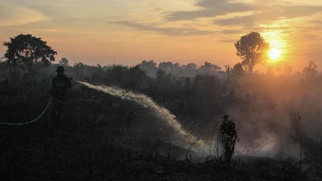 Lereng Taman Nasional Gunung Ciremai Kuningan Terbakar