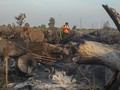 260 Hektare Lahan Gambut di Rokan Hilir Kembali Terbakar