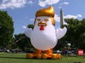 Ejek Trump, Pria AS Pasang Balon Ayam Raksasa di Gedung Putih