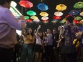 Mulai Tahun Ini WTF Digelar Setiap Juli