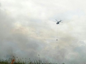 Pemprov Sumsel Belum Naikan Status Siaga Darurat Karhutla, Ini Penyebabnya