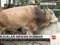 Di Depok Hewan Kurban Dijual di Mal