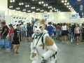 VIDEO: Festival CatCon, Ajang Berkumpul Pecinta Kucing Dunia