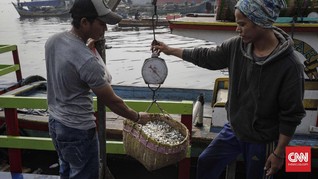 Menteri Susi Jamin KUR Mikro Nelayan Bebas Agunan
