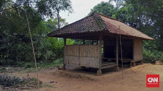 Memimpikan Setruman Listrik di  Tengah  Pusaran Hutan  Jati