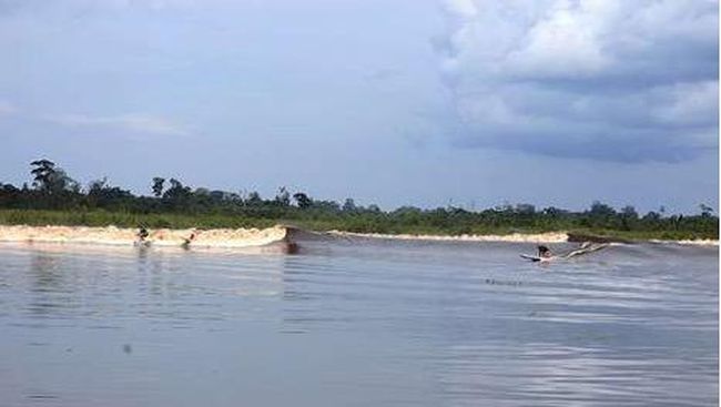 Balapan Perahu Ukuran 40 M Hadir Pada Festival Pacu Jalur