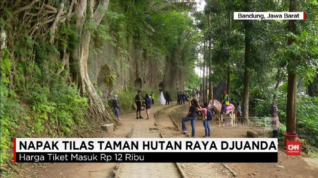 Menguak Sejarah Bangsa Di Taman Hutan Raya Djuanda