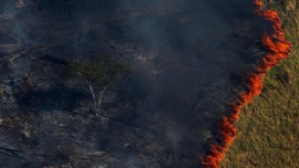 FOTO: Hitam Pekat Dampak Pembakaran Hutan Amazon
