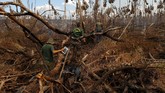 Agen Jaime Pereira da Costa, koordinator operasi, mengatakan area di sekitar Apui kini mengalami pola deforestasi yang selama beberapa dekade ini terjadi di Amazon. (Reuters/Bruno Kelly)