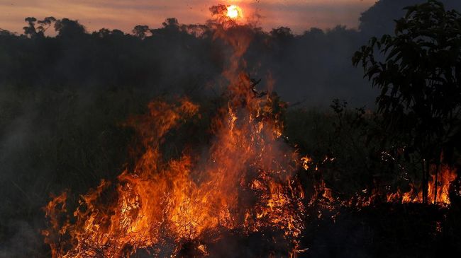 440 Hantu Hutan Amazon Gratis Terbaru