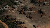 Pertama, para pencuri kayu secara ilegal menebang pohon-pohon di hutan untuk dijual di kota-kota terpencil. Mereka diikuti peternak yang membakar lahan dan para petani yang menanam kacang kedelai. (Reuters/Bruno Kelly)