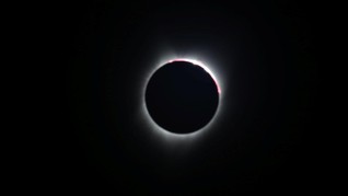 'Total Eclipse of the Heart' Naik 500 Persen karena Gerhana