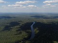 Jerman Pangkas Dana 35 juta euro untuk Hutan Amazon Brasil