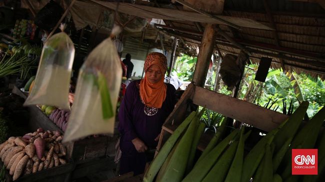 Lidah Buaya Minuman Favorit Warga Pontianak