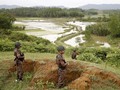 Bangladesh Buru Warganya yang Nikahi Pengungsi Rohingya