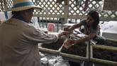 Kandungan protein dan jumlahnya yang berlimpah membuat serangga jadi makanan favorit para petani Thailand. Hanya saja makanan ini kerap dianggap memberikan citra negatif sebagai makanan untuk orang miskin. (AFP PHOTO / Lillian SUWANRUMPHA)