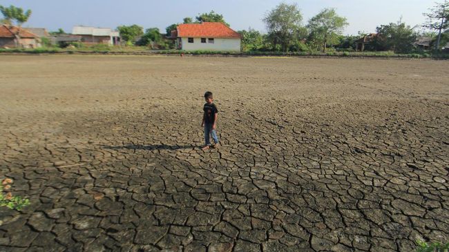 Kekeringan Landa 7 Kabupaten di NTT dan 42 Desa di Sampang