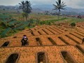 BI Ramal Inflasi Oktober 0,03 Persen Ditopang Panen Gadu