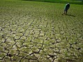 2017 Jadi Tahun Kedua Paling Panas yang Pernah Terekam