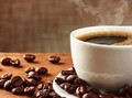 Toraja Angkat Kopi Sebagai Ikon Pariwisata